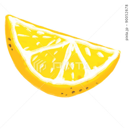 Lemon Sketch Icon. Whole Citrus Fruit with Leaves, Slice. Black Linear  Clipart Stock Vector - Illustration of drawing, isolated: 211326223