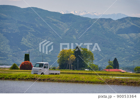 茅野市の水田風景 90053364