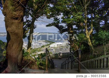 江の島神社からのヨットハーバーの風景 90053566