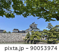 初夏の富山城 90053974