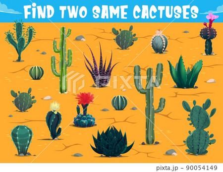 Find two same cactuses in mexican desert. Kids game worksheet, children logical riddle or educational puzzle with searching and matching task. Child quiz vector page or playing activity with cacti Find two same cactuses in mexican desert. Kids game worksheet, children logical riddle or educational puzzle with searching and matching task. Child quiz vector page or playing activity with cacti 90054149