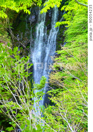 大滝　新緑　勝山市 90054235