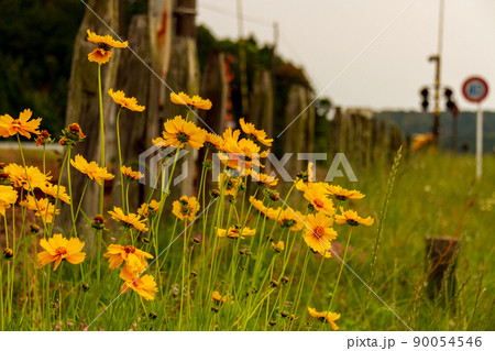 静岡県周智郡森町一宮 天竜浜名湖鉄道と一宮駅周辺の風景 静岡県周智郡森町一宮 天竜浜名湖鉄道と一宮駅周辺の風景 90054546