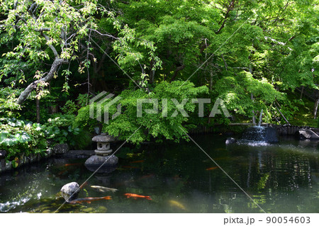 新緑の鎌倉(長谷寺) 新緑の鎌倉(長谷寺) 90054603