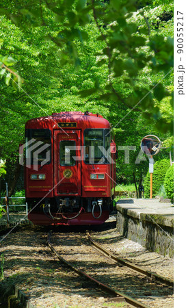 新緑と観光列車　ながら号　縦構図 90055217