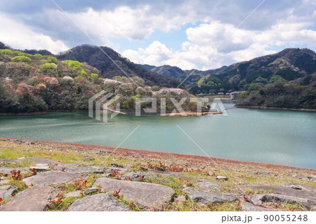 春の奥野公園と奥野ダム 90055248
