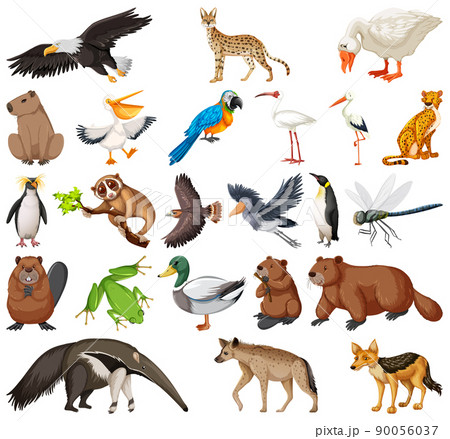 Different kinds of animals collection 90056037