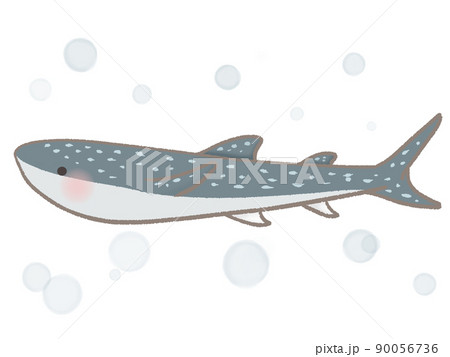 シンプルなジンベエザメのイラストのイラスト素材
