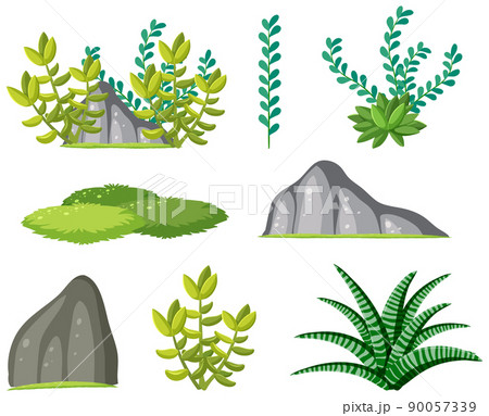 Set of succulents plant on white background 90057339