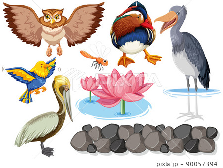 Different kinds of wild animals collection 90057394