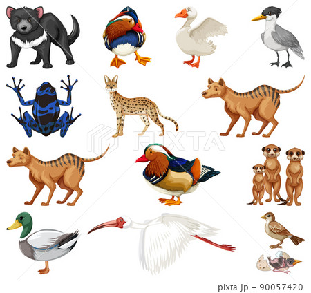 Different kinds of animals collection 90057420