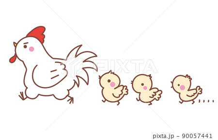 にわとり父さんについて行くひよこ 90057441