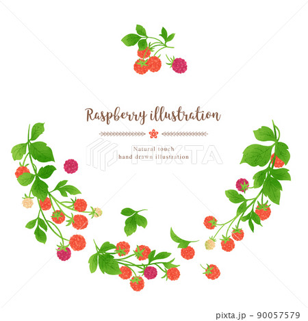 ナチュラルなタッチのラズベリーのイラスト/ガーランドサークル ナチュラルなタッチのラズベリーのイラスト/ガーランドサークル 90057579