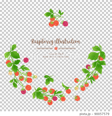 ナチュラルなタッチのラズベリーのイラスト/ガーランドサークル ナチュラルなタッチのラズベリーのイラスト/ガーランドサークル 90057579