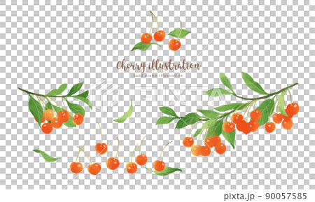 Illustration of cherries with a natural touch / horizontal layout 90057585