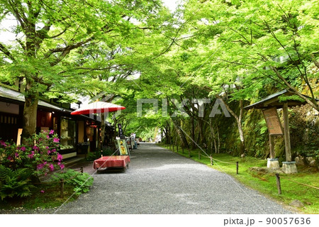 京都市 大原三千院御殿門前参道（大原女の小径）の新緑と茶店と野点傘