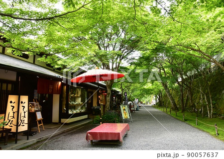 京都市　大原三千院御殿門前参道（大原女の小径）の新緑と茶店と野点傘 90057637