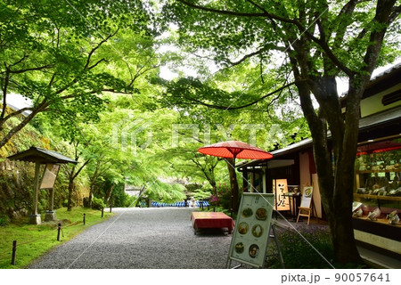 京都市 大原三千院御殿門前参道（大原女の小径）の新緑と茶店と野点傘 