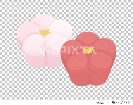 Illustration of red and white plums Japanese sweets Neri-kiri Illustration of red and white plums Japanese sweets Neri-kiri 90057770