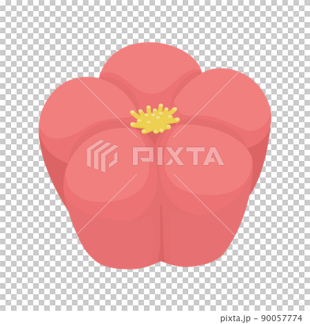 Illustration of Japanese sweets of plums Neri-kiri 90057774