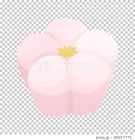Illustration of Japanese sweets of plums Neri-kiri 90057775