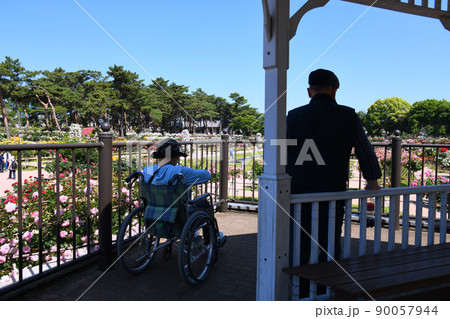 バラ園のシニア夫婦 90057944