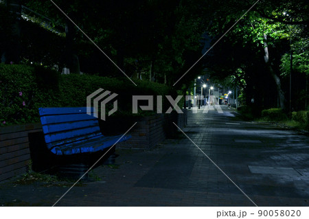 夜の公園　並木とベンチと散策道 90058020