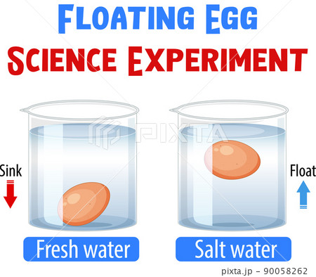 what is the hypothesis of floating egg science experiment