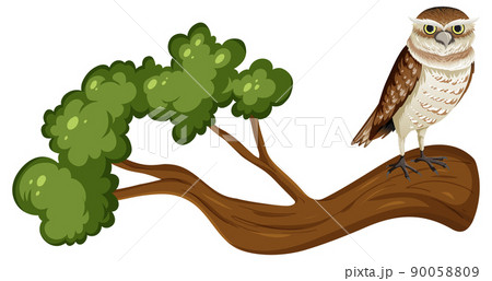 Owl standing on tree branch in cartoon style 90058809