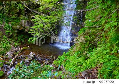 大滝　東山いこいの森　勝山市 90059001