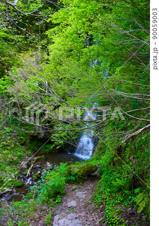 大滝 東山いこいの森 勝山市 大滝 東山いこいの森 勝山市 90059003
