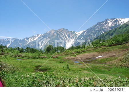 栂池高原より白馬三山を望む 90059234
