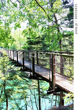 栃木県那須塩原市の回顧の滝（吊橋） 90059835