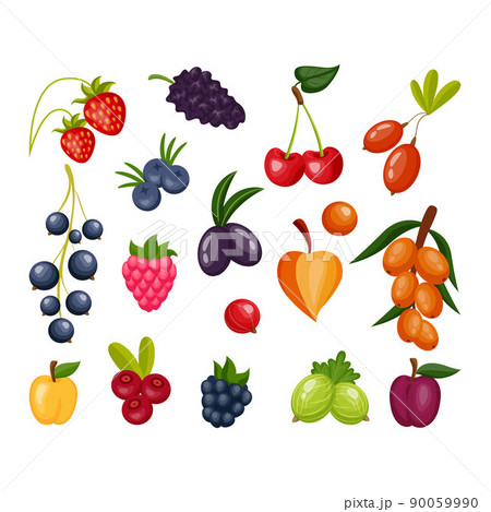 Berry icons. Cartoon fruits of plant. Flat blueberry and raspberry. Cherry with leaf. Wild strawberry and cranberry. Sweet raspberry or physalis. Natural food set. Vector isolated healthy logo design 90059990
