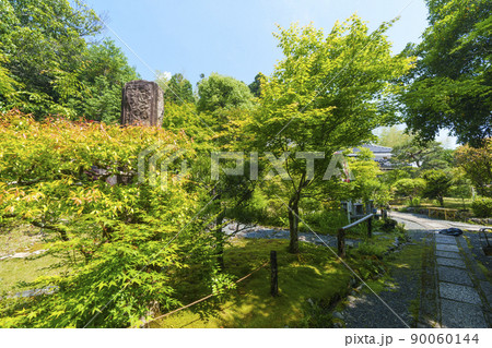 京都・嵯峨　檀林寺（新緑の季節） 90060144
