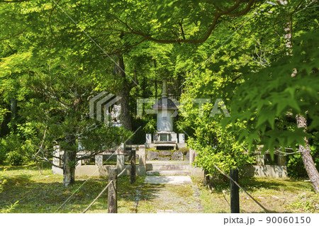 京都・嵯峨　檀林寺（新緑の季節） 90060150