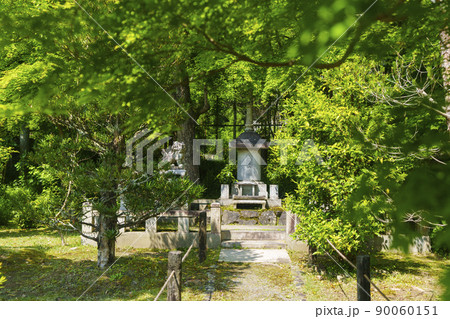 京都・嵯峨　檀林寺（新緑の季節） 90060151