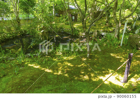 京都・嵯峨　檀林寺　瓢箪池（新緑の季節） 90060155