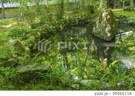 京都・嵯峨　檀林寺　瓢箪池（新緑の季節） 90060158