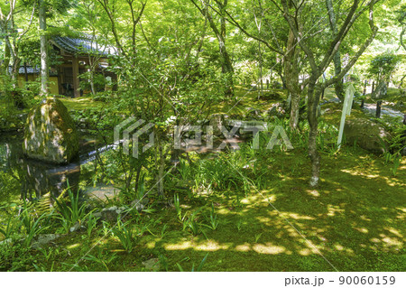 京都・嵯峨　檀林寺　瓢箪池（新緑の季節） 90060159