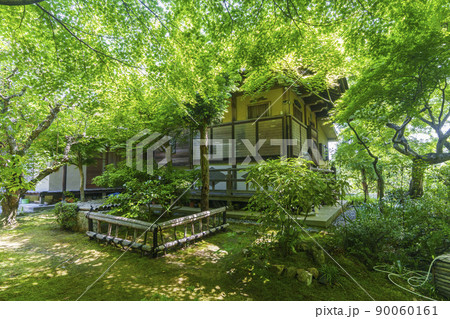 京都・嵯峨　檀林寺（新緑の季節） 90060161