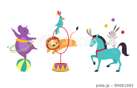 Circus Hippo and Lion Animal Jumping Through Hula Hoop and Balancing on Ball Performing Trick Vector Illustration Set Circus Hippo and Lion Animal Jumping Through Hula Hoop and Balancing on Ball Performing Trick Vector Illustration Set 90061085