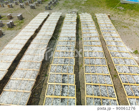 初夏の北海道乙部町乙部漁港で小女子（いかなごの稚魚）の加工乾燥の風景を撮影 90061276