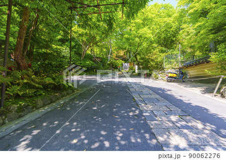 京都・嵯峨 祇王寺 入口(新緑の季節) 京都・嵯峨 祇王寺 入口(新緑の季節) 90062276