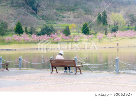 春の公園 90062927