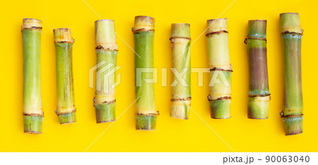 Sugar cane on yellow background. 90063040