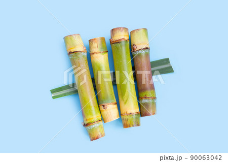 Sugar cane on blue background. 90063042