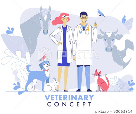 Veterinary concept with livestock animals, pets and doctors in vet clinic. 90063314