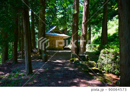 岩屋観音　拝殿　夫婦杉　勝山市 90064573