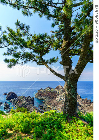 【和歌山県】潮岬 【和歌山県】潮岬 90065678